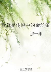 �Ҿ��Ǵ�˵�еĽ�˿ȸ